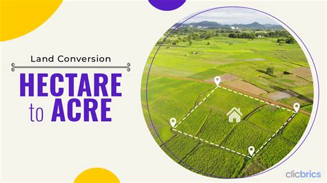 1 Hectare to Acre Conversion: Exact Conversion Rate Unveiled!