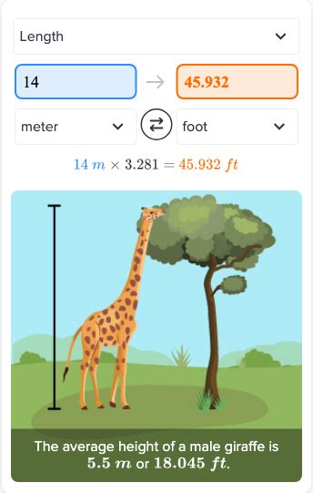 Converting 14 Meters to Feet: Quick and Accurate Conversion Guide