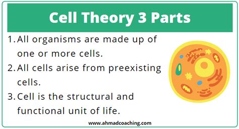 Unveiling the 3 Core Parts of the Cell Theory: Essential Knowledge You Can't Miss
