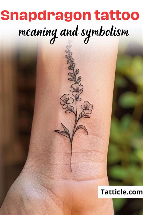 33 Snapdragon Tattoo Ideas Meaning