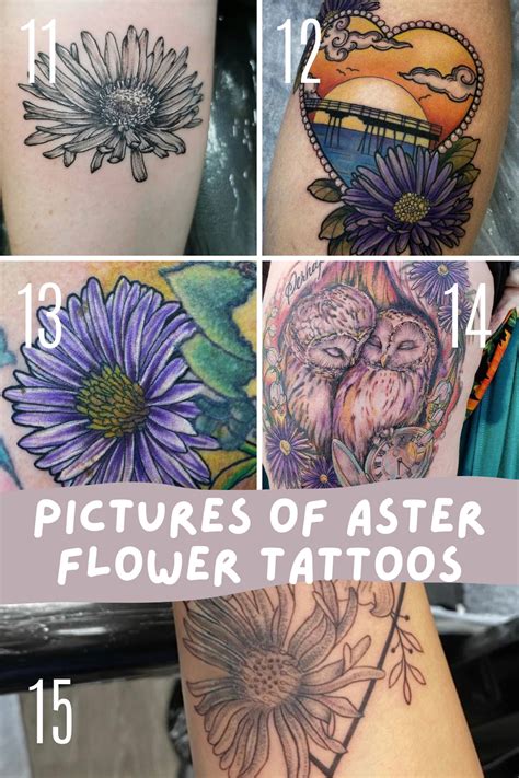 37 Bold Aster Flower Tattoo Designs Ideas Tattoo Glee