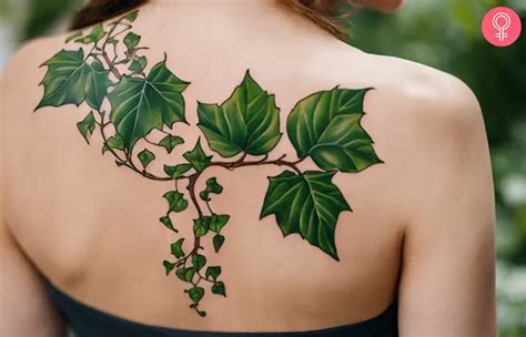 8 Best Ivy Tattoos Symbolic Vines Of Growth Amp Resilience