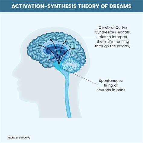 Activation Synthesis Dream Theory Explained