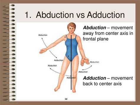 Adduction vs Abduction: Which Moves Your Limbs?