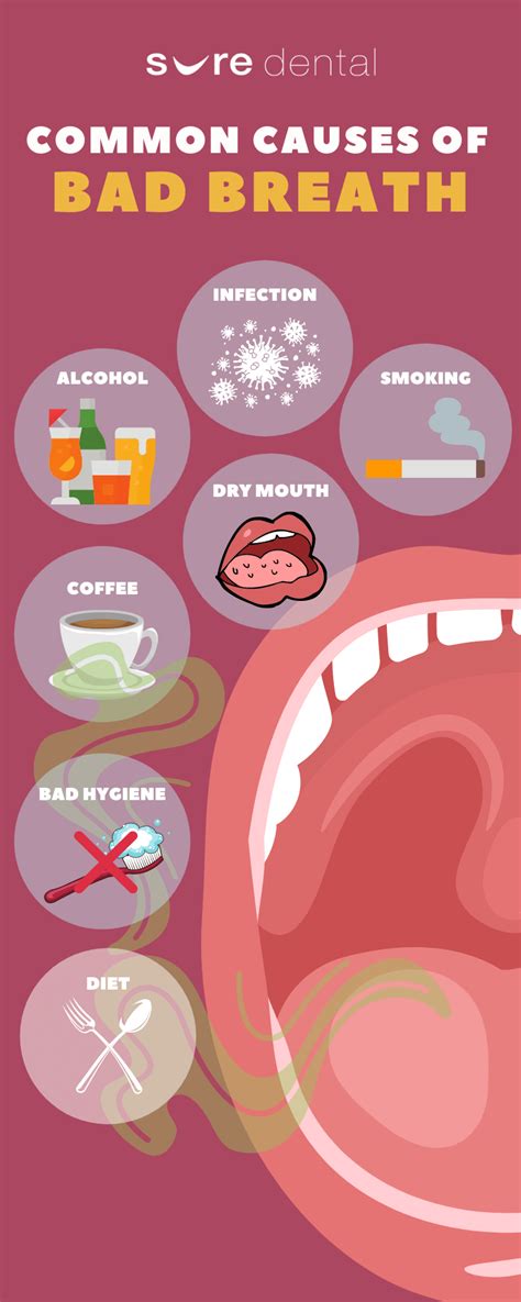 Bad Breath Explained: Top Secrets Unveiled!