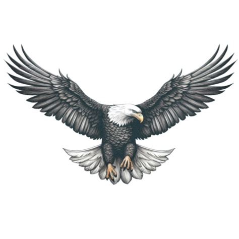 Bald Eagle In Flight Tattoo 50 Amazing Perfectly Place Eagle Tattoos