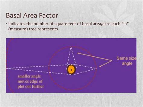 Mastering Basal Area Factor for Forest Management