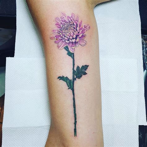 Chrysanthemum Tattoo Watercolor At Joel Watts Blog