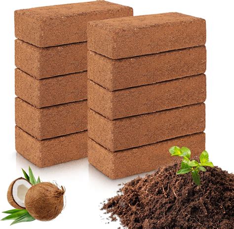 Coco Coir Bricks: Eco-Friendly Gardening Revolution