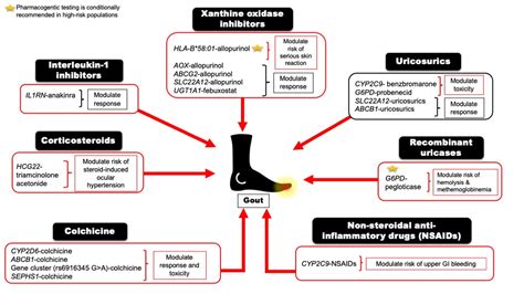 Colchicine vs Allopurinol: Which Is Best for Gout Management?