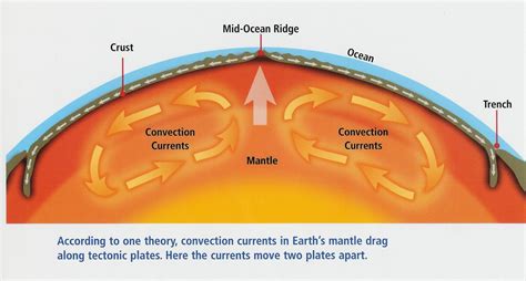 Convection Currents Drive Mantle Dynamics