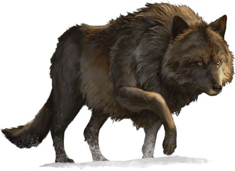 Dire Wolf Art Print By Jonathan Habens Wolf Art Print Wolf Tattoo Dire Wolf Art Print By Jonathan Habens Wolf Art Print Wolf Tattoo