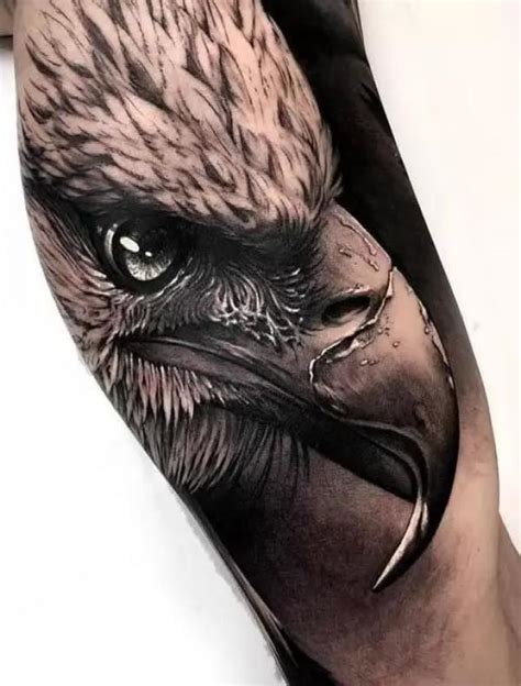 Eagle Head Tattoo
