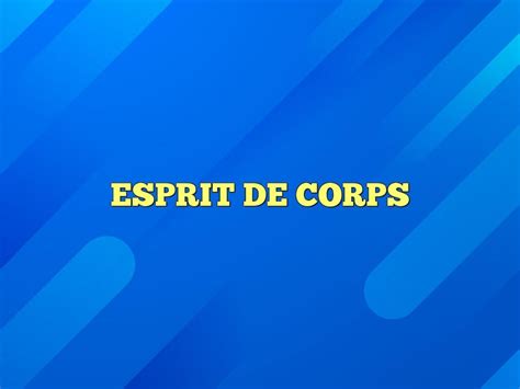 The Power of Esprit de Corps in Team Success