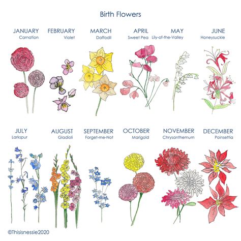 Family Birth Month Flowers Tattoo Amada Bourgeois Family Birth Month Flowers Tattoo Amada Bourgeois