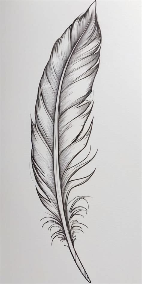 Feather Tattoo Design Feather Tattoo Design Feather Sketch Feather Feather Tattoo Design Feather Tattoo Design Feather Sketch Feather