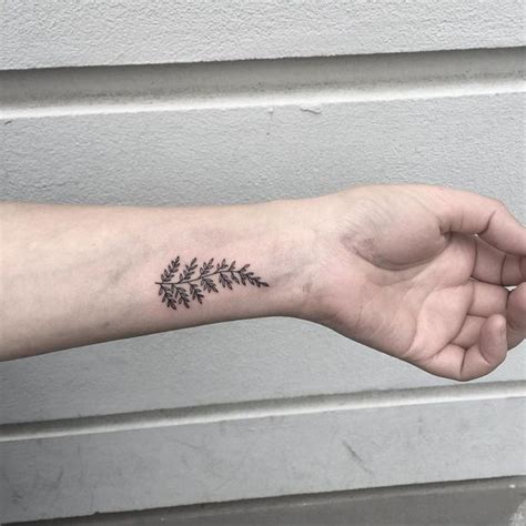 Fern Tattoo 43 Most Delicate And Creative Fern Tattoo Ideas Ever Created