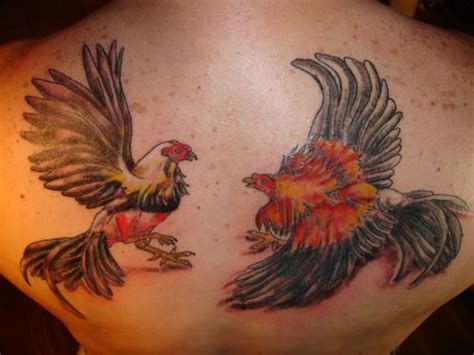 Fighting Roosters Tattoos Fighting Roosters Tattoos