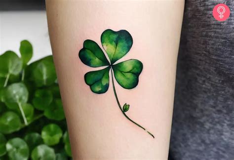 Four Leaf Clover Tattoo 8 Unique Designs For Luck Four Leaf Clover Tattoo 8 Unique Designs For Luck
