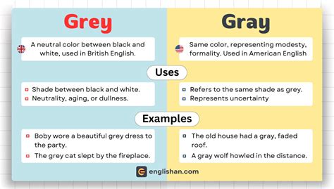 Gray vs Grey: The Definitive Guide to Color Nuances