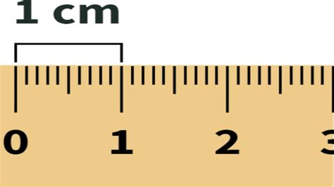 How Long Is 3 cm?: Clear Insight Under 10 Words