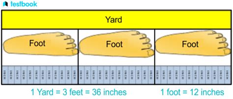 Discover How Many Feet in One Yard for Precision Measurements
