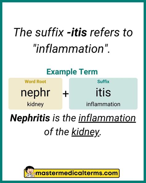Exploring the Itis Suffix Meaning: Uncover the Secrets Behind Medical Terms