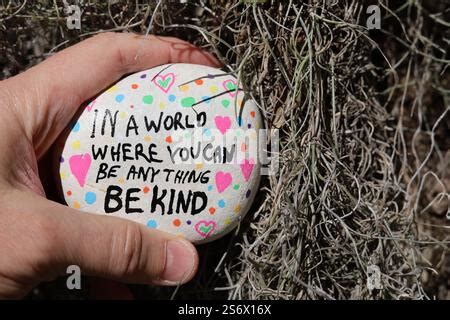 Kindness Rock And Beard Lichen Stock Photo Alamy