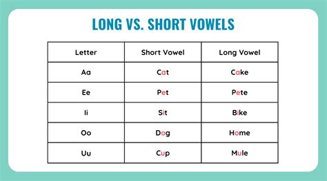 Long vs Short Vowels: Phonetic Clarity Debate