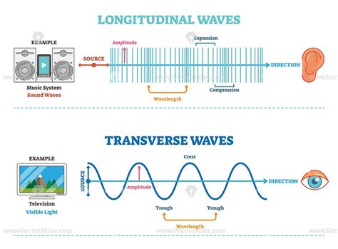 Longitudinal vs Transverse Wave Comparison