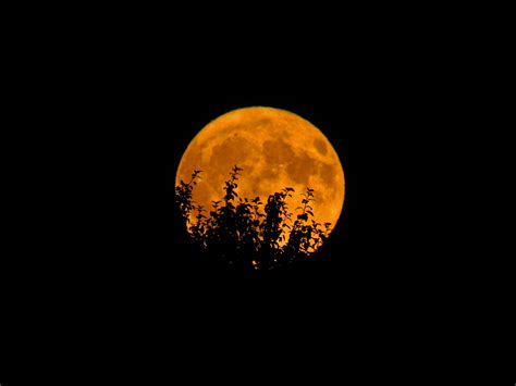 Unveiling the Enigmatic Moon Orange Color: Nature's Rare Beauty