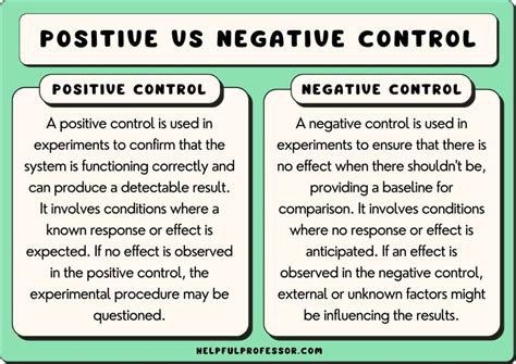 Negative vs Positive Control: Key Biotech Insight