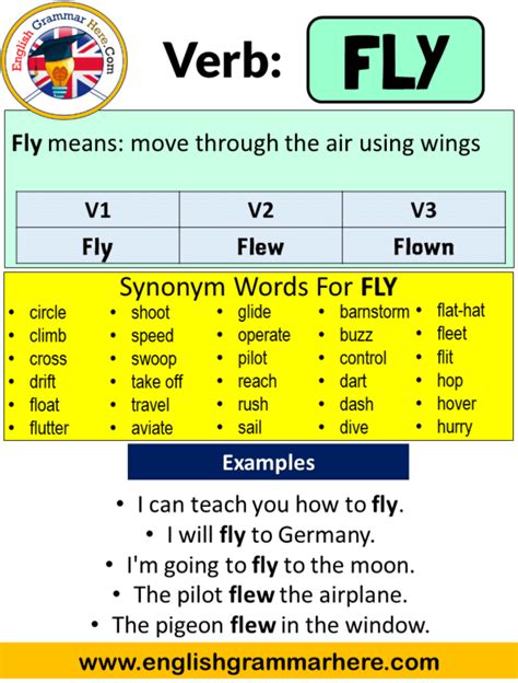 Mastering the Past Tense of Fly: Essential Guide