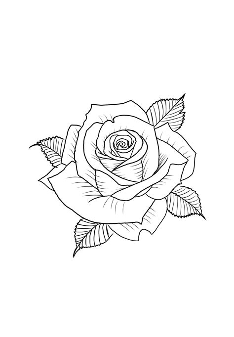 Pin By Cedric Rn On Dessin Tatouage Rose Tattoo Stencil Tattoo