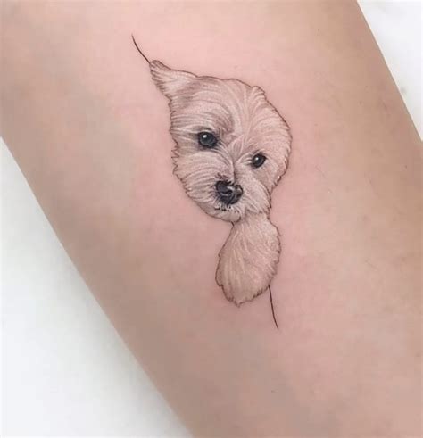 Pin By Con R O Ghallch Ir On Tattoos Tattoos For Dog Lovers Colorful