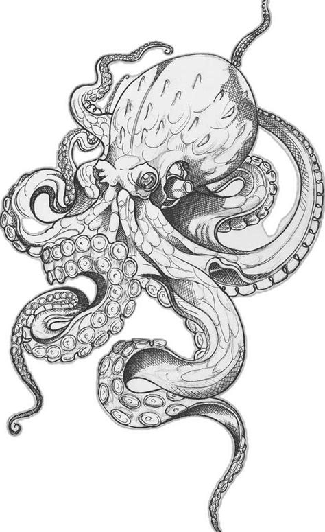 Pin Von Lucas Schuhmacher Auf Tattoos Krake Tattoo Design Kraken