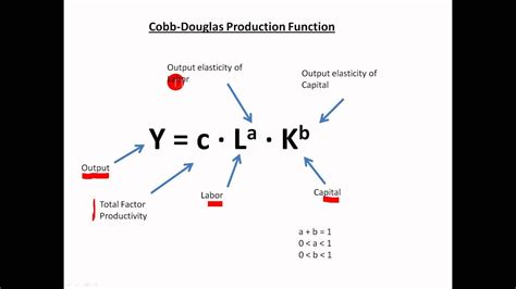 Mastering Production Function Cobb Douglas: Essential Insights for Business Growth