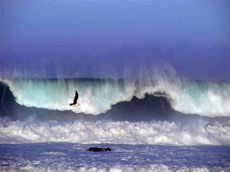 Redding Ca Amp Quot Anne Troyer Amp Quot Photographed Places To Go Natural