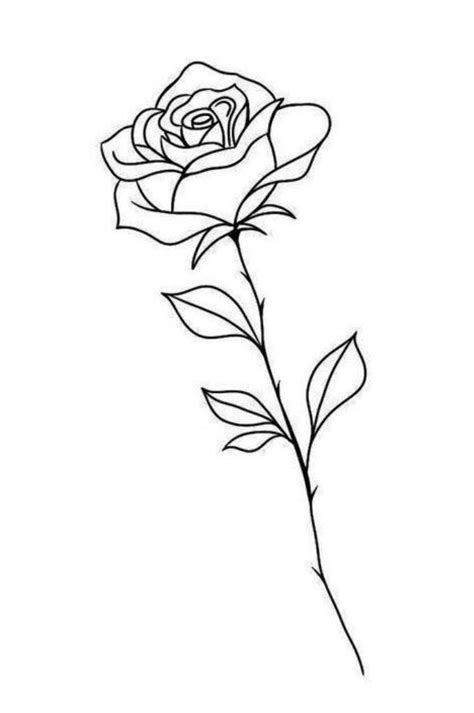 Rose Outline Tattoo Designs