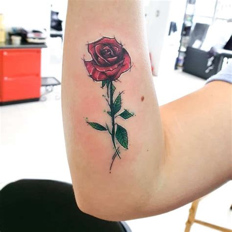 Rose With Stem Tattoo Designs Rose With Stem Tattoo Designs