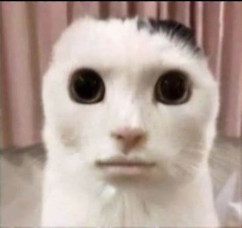 Sethpeterson Adl Kullan C N N Quick Saves Panosundaki Pin 2025