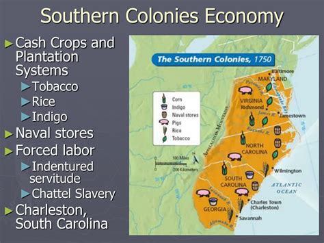 Southern Colonies Economy: Secrets Unveiled