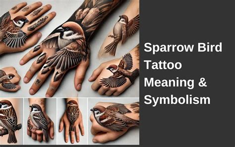 Sparrow Bird Tattoo Meaning Amp Symbolism Birdserenity