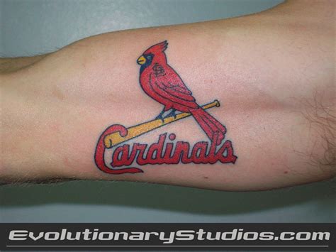 St Louis Cardinals Tattoo Cardinal Tattoos Body Art Tattoos Body Art St Louis Cardinals Tattoo Cardinal Tattoos Body Art Tattoos Body Art