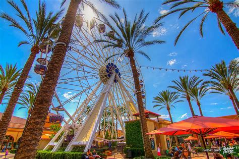 Best Activities in Irvine California Explore Now