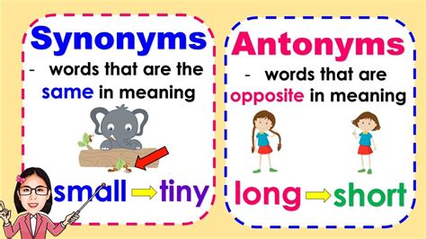 Synonyms Antonyms Differences Types Examples Video Synonyms Antonyms Differences Types Examples Video