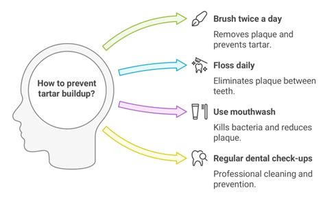 Effective Tartar Removal Prevention Techniques: What You Need to Know
