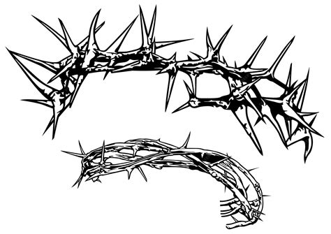 Thorns Drawing Thorns Drawing