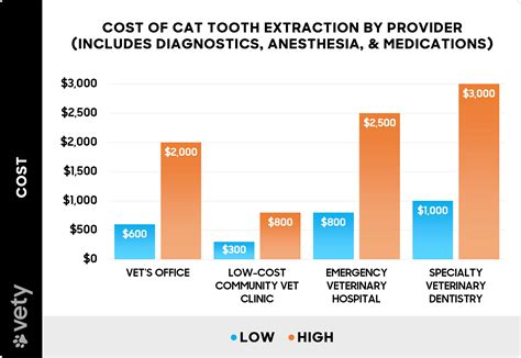 Tooth Extraction Cost in Australia: Surprising Facts!