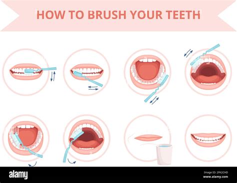 Ultimate Tooth Protection Daily Routine Tips for Lifelong Oral Health